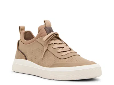 Steve Madden Pinto Sneaker In Brown