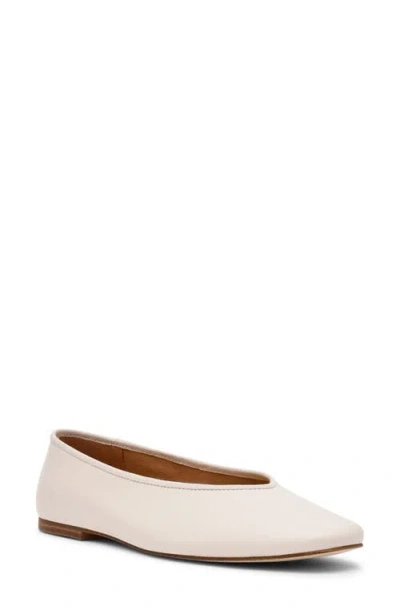 Steve Madden Pipa Ballet Flat