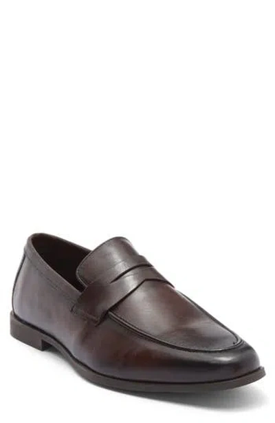 Steve Madden Pomona Penny Loafer In Brown