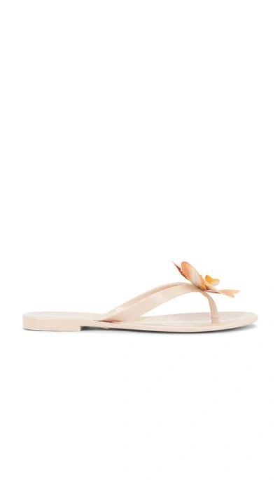 Steve Madden Poppyseed Sandal In 棕黄色