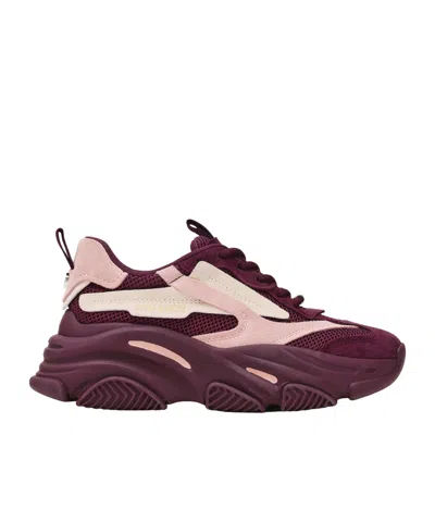 Steve Madden Possession Chunky Trainers In Burgundy