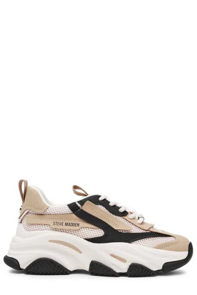 Steve Madden Possession Sneakers In Multi