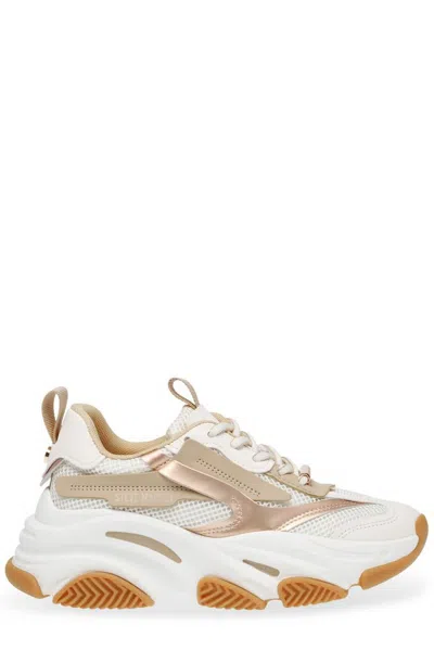 Steve Madden Logo-print Chunky Sneakers In Multi