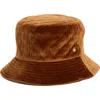 Steve Madden Quilted Velvet Bucket Hat In Brown