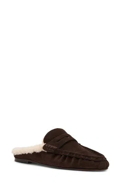 Steve Madden Rafe Faux Shearling Lined Mule In Brown