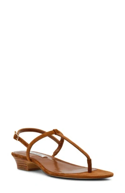 Steve Madden Ralia Slingback Sandal In Brown