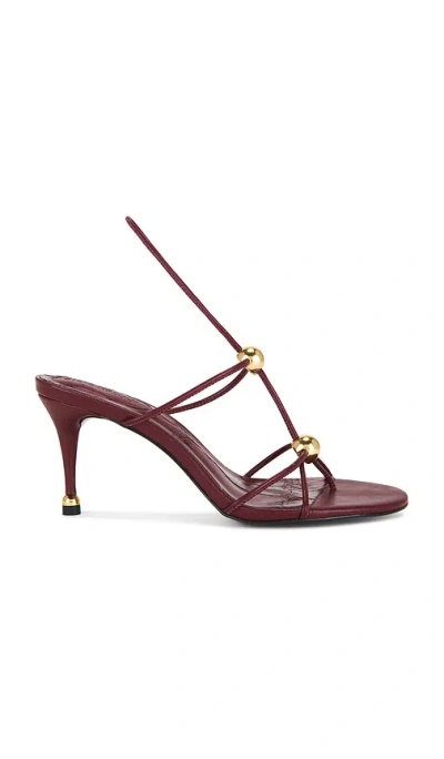 Steve Madden Ramos Sandal In Burgundy