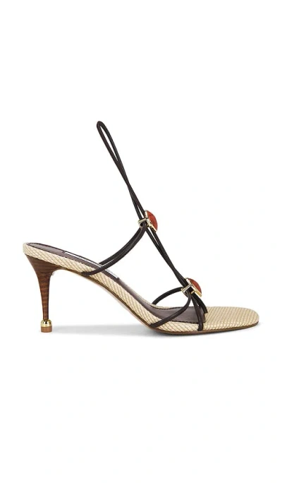 Steve Madden Ramos Strappy Sandal In Multi