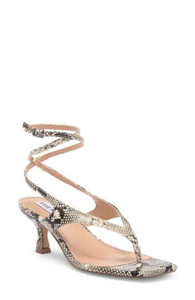 Steve Madden Rayger Ankle Strap Heel Sandal