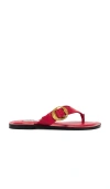 Steve Madden Rays In 红色皮革