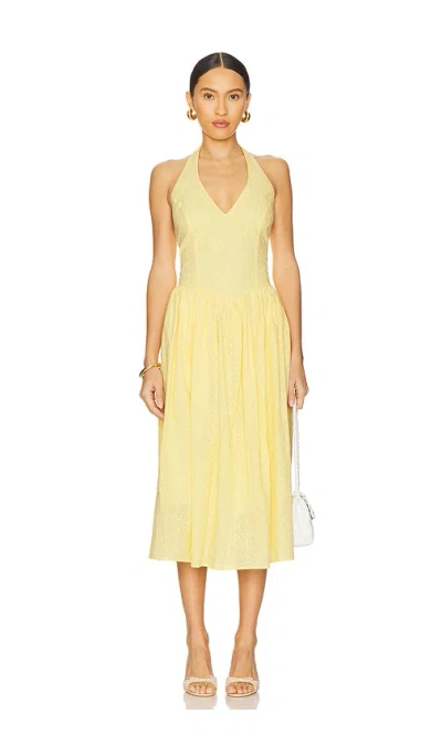 Steve Madden Ressi Dress In Golden Glow