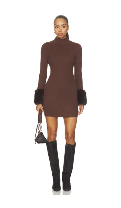 Steve Madden Riello Dress In Brown