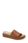 Steve Madden Robyn Platform Slide Sandal In Brown