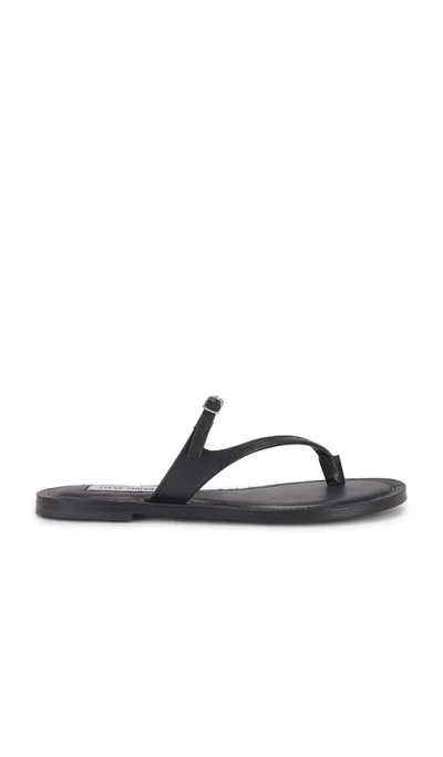 Steve Madden Roca Sandal In 黑麻色
