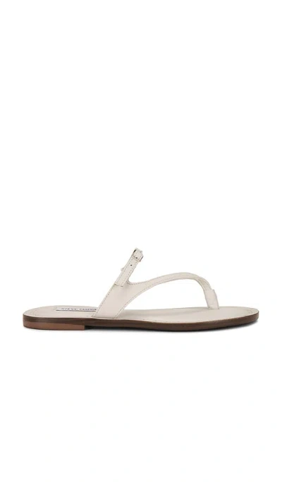 Steve Madden Roca Sandal In 骨色皮革