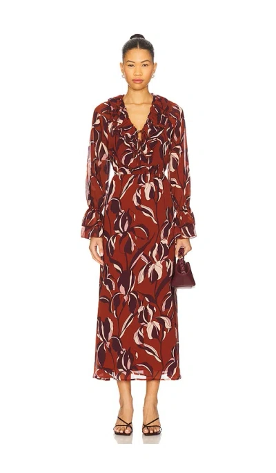 Steve Madden Rosabella Dress In Burgundy