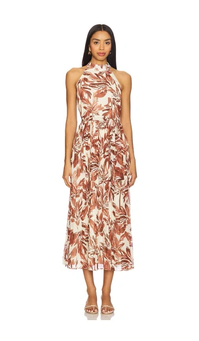 Steve Madden Rosemary Dress