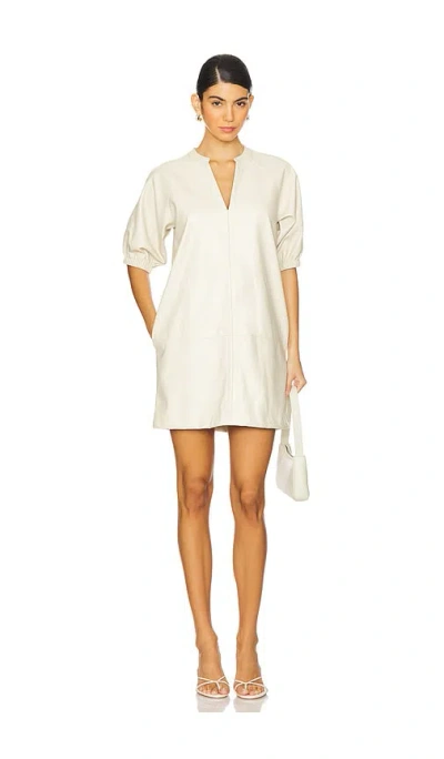 STEVE MADDEN ROXANNE DRESS