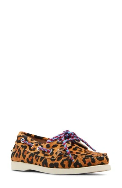 Steve Madden Sail Genuine Calf Hair Boat Shoe In Leopard