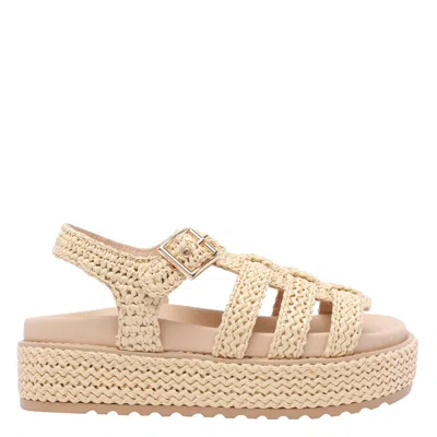 Steve Madden Shoes