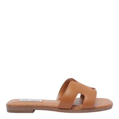 Steve Madden Sandals
