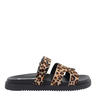 Steve Madden Sandals In Brown