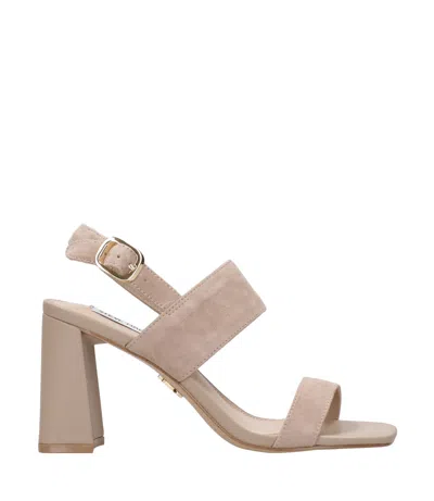 Steve Madden Sandals Taupe In Neutral