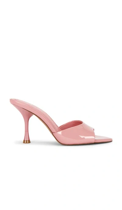 Steve Madden Santi Sandal In Multi