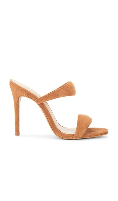 Steve Madden Saturn Sandal In Brown