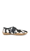 Steve Madden Scooter Sneaker In Black & White