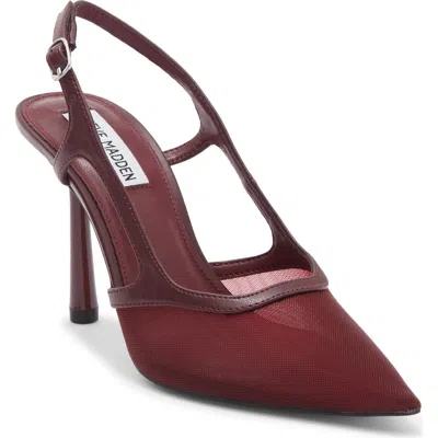 Steve Madden Scotlynn Slingback Pump In Burgundy