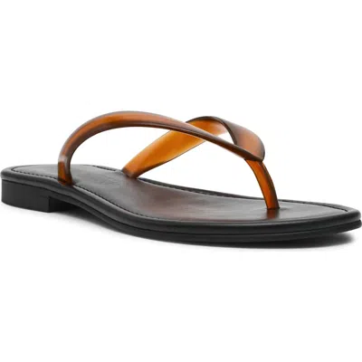 Steve Madden Seasalt Flip Flop In Brown