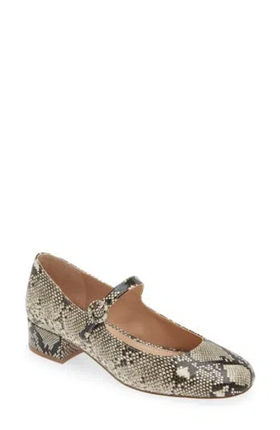 Steve Madden Sessily Mary Jane Pump In Natural Snake