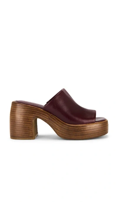Steve Madden Shanton Sandal In Burgundy