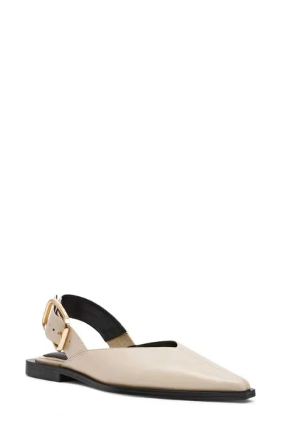 Steve Madden Shay Pointed Toe Slingback Flat In Multi