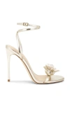 Steve Madden Sheila Sandals In Gold
