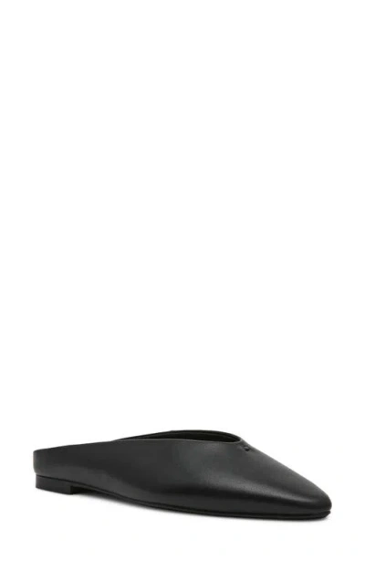 Steve Madden Sherman Mule In Black