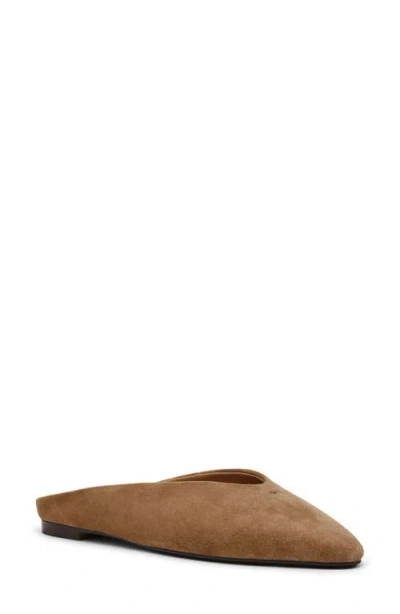 Steve Madden Sherman Mule In Multi