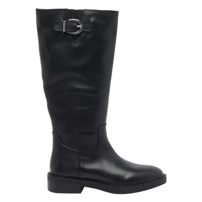 Steve Madden Shoes In Black