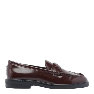 Steve Madden Shoes In Brown