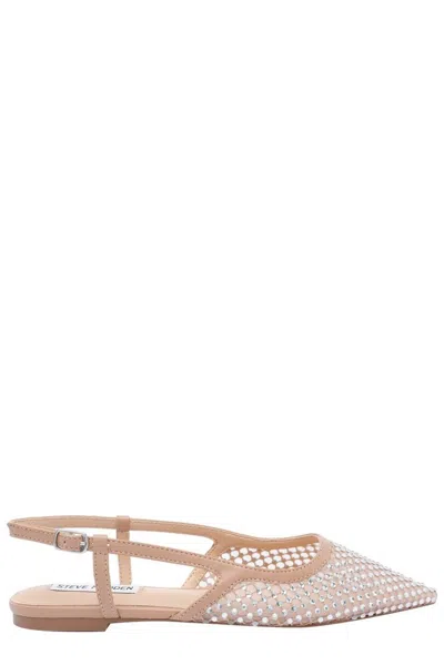 Steve Madden Pointed Toe Flats In Pink