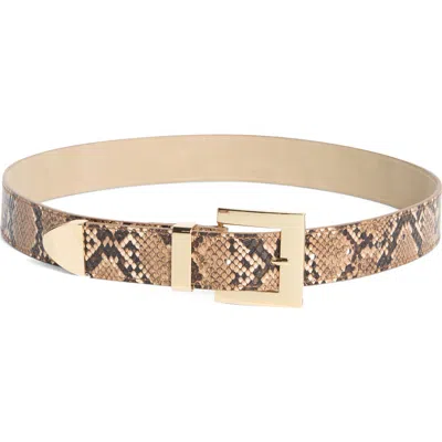 Steve Madden Snakeskin Print Faux Leather Belt In Green