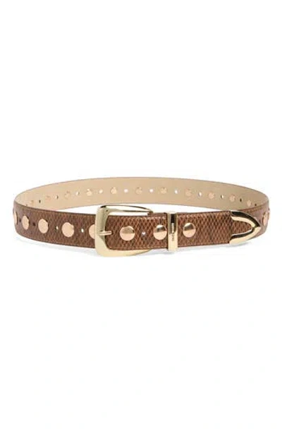 Steve Madden Snakeskin Textured Belt In Brown