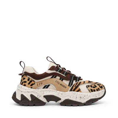 Steve Madden Sneakers