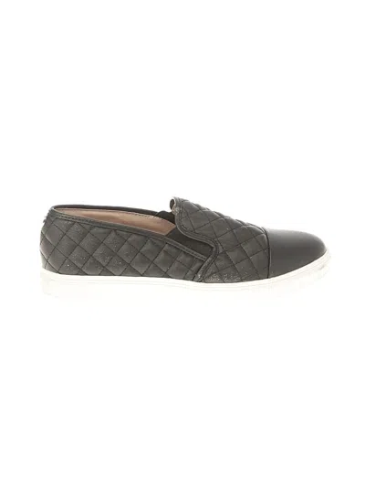 Pre-owned Steve Madden Sneakers In Black