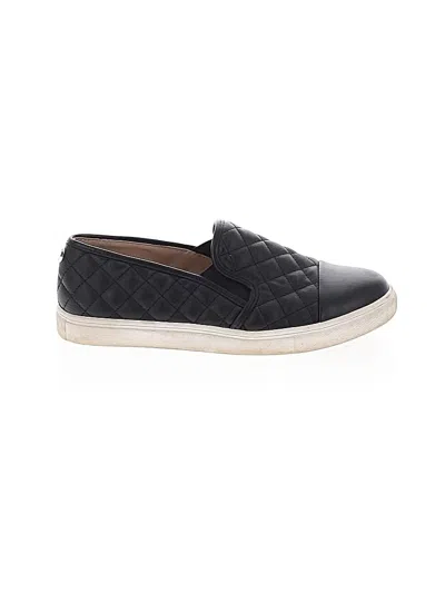 Pre-owned Steve Madden Sneakers In Black