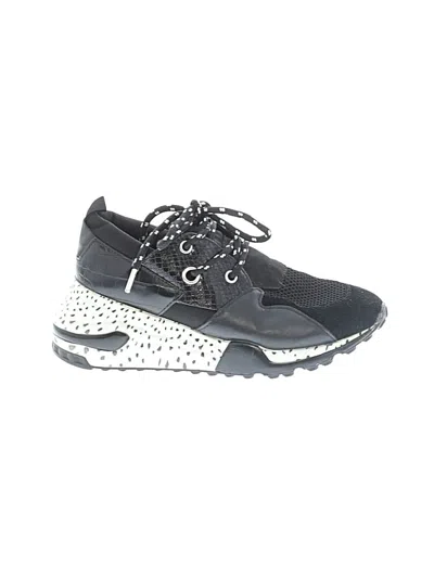 Pre-owned Steve Madden Sneakers In Black