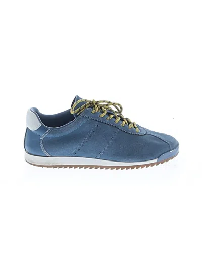 Pre-owned Steve Madden Sneakers In Blue