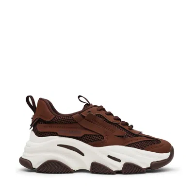 Steve Madden Sneakers In Brown
