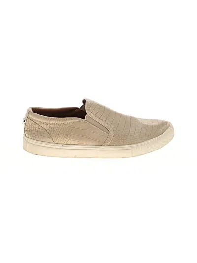 Pre-owned Steve Madden Sneakers In Brown